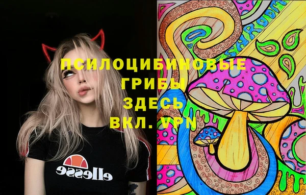 кокаин премиум Алексин