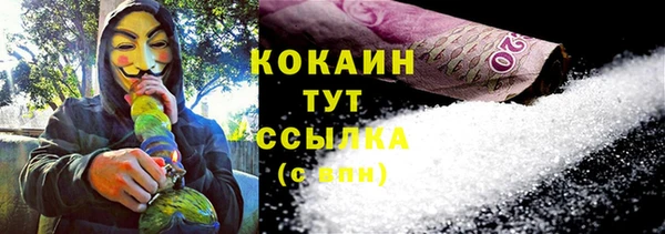 индика Нязепетровск