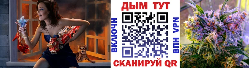 наркотики  Звенигово  дарк нет официальный сайт  Конопля тримм 